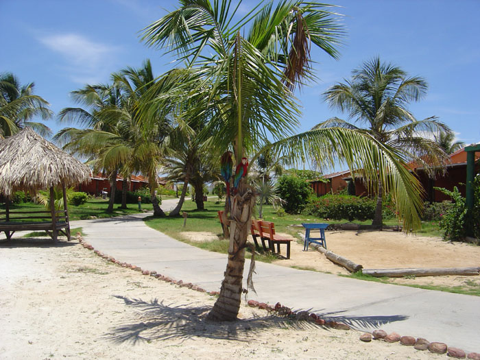 DSC03067