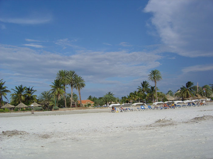 DSC03090