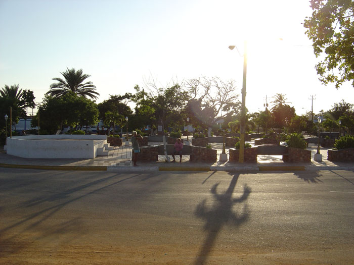 DSC03123