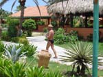 DSC03132