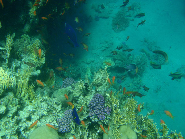 P3160251