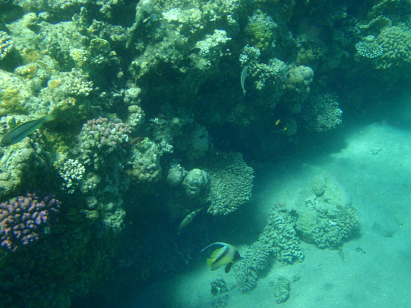P3160264