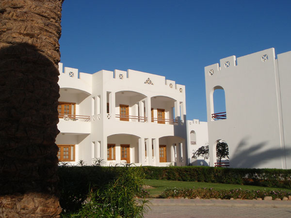 P3170284