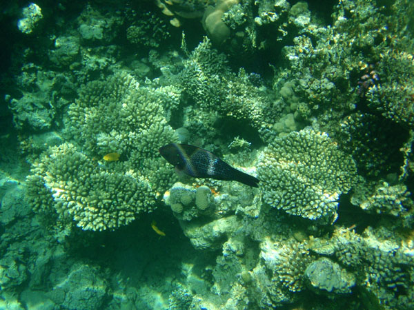 P3190321