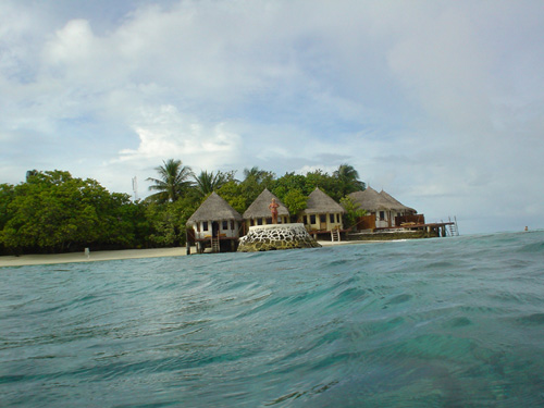 DSC03802