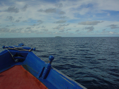 DSC03848