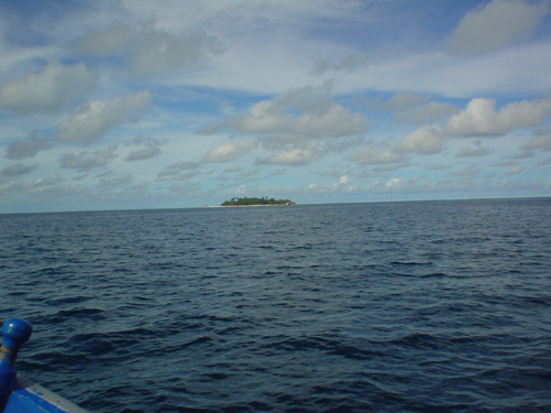 DSC03849