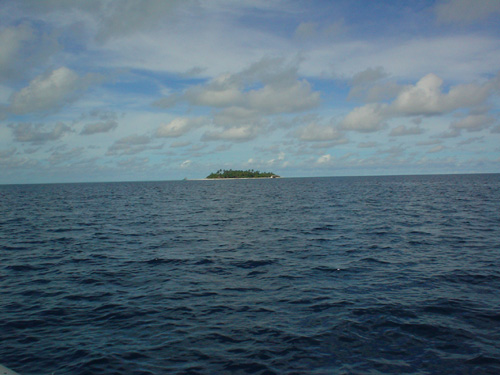 DSC03851