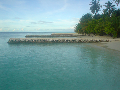 DSC03855