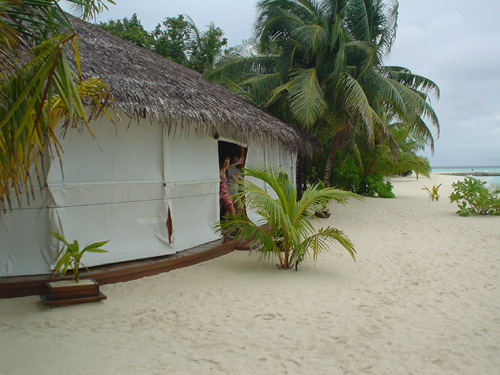 DSC03890