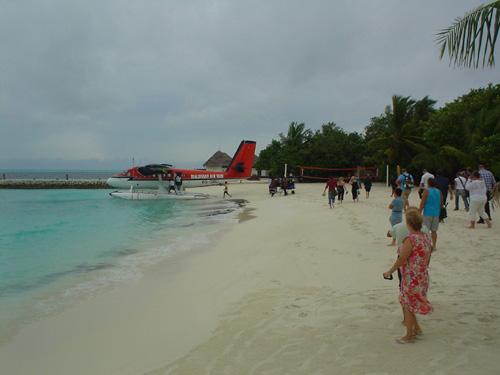 DSC03894