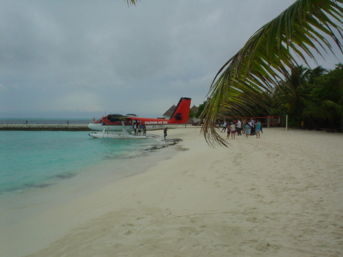 DSC03896