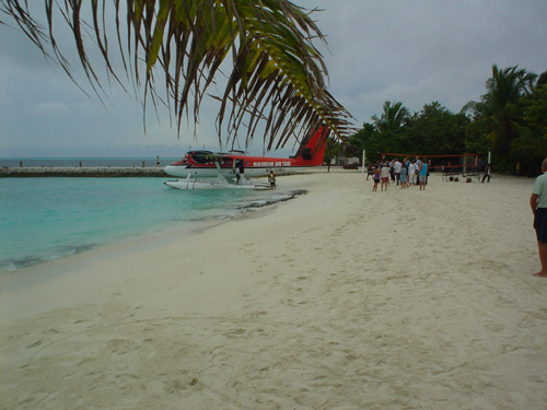 DSC03897