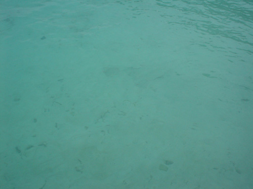 DSC03901