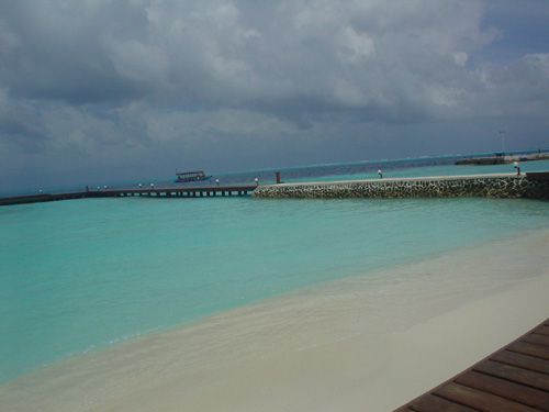 DSC03964