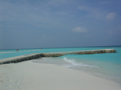 DSC04044