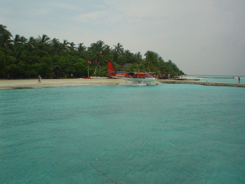 DSC04066