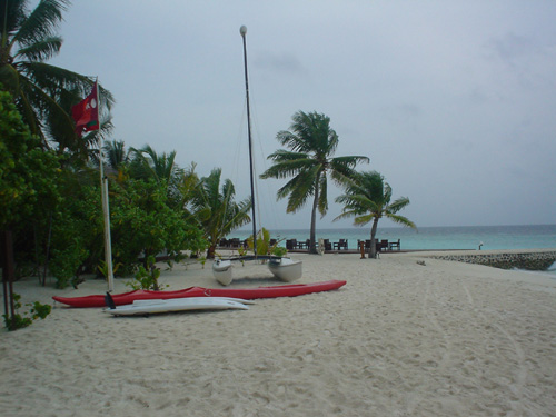 DSC04089