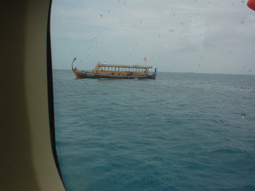 DSC04146