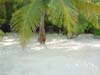 DSC04039