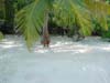 DSC04040