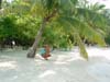 DSC04041