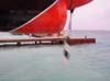 PC040013