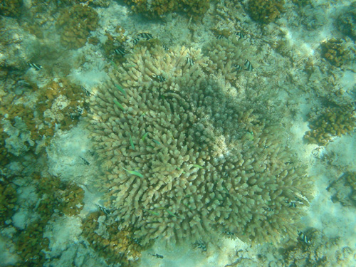 DSC00351