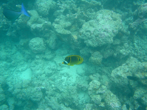 DSC00424