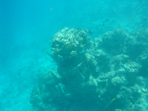DSC01989