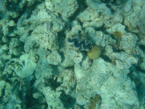 DSC02004