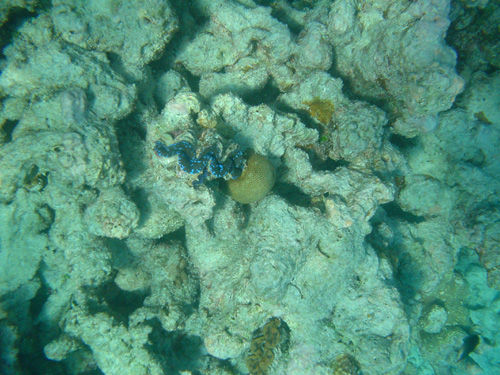 DSC02005