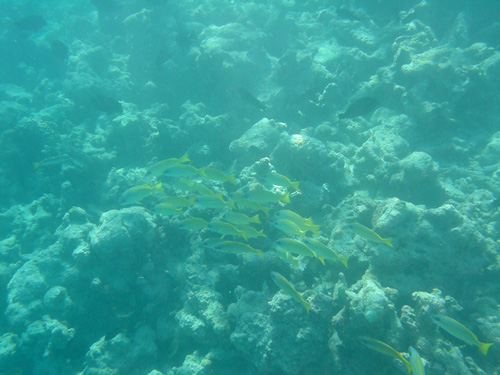 DSC02008