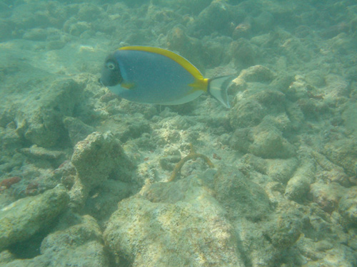DSC02011