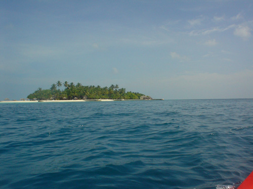 DSC02209
