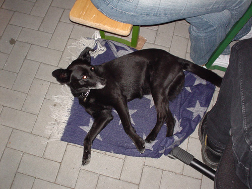 DSC02886