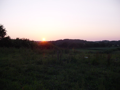 DSC00241