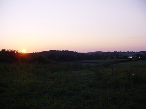 DSC00242
