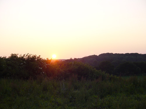 DSC00243